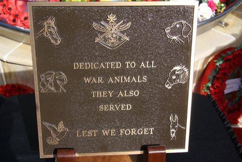 War Animals Plaque War Animals Plaque