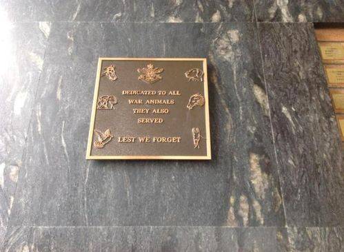War Animals Plaque : Feb 2014