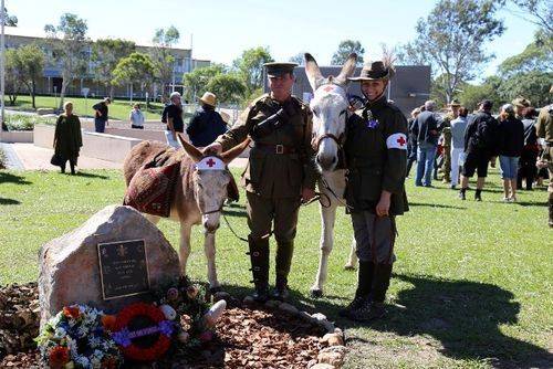 War Animals Plaque 2 : 04-05-2014 War Animals Plaque 2 : 04-05-2014