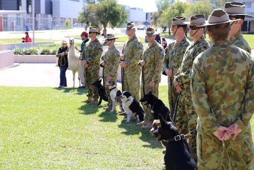 War Dogs Dedication Ceremony : 04-05-2014 War Dogs Dedication Ceremony : 04-05-2014