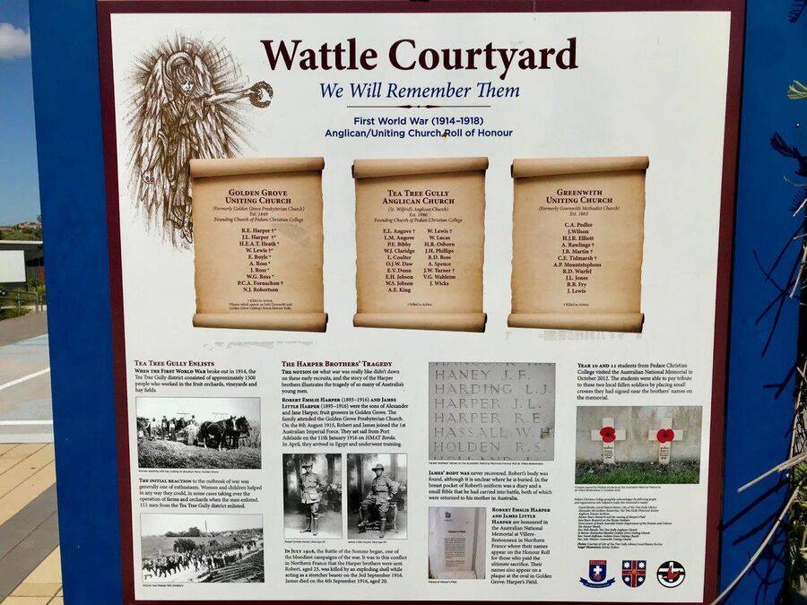 24-January-2021 24-January-2021