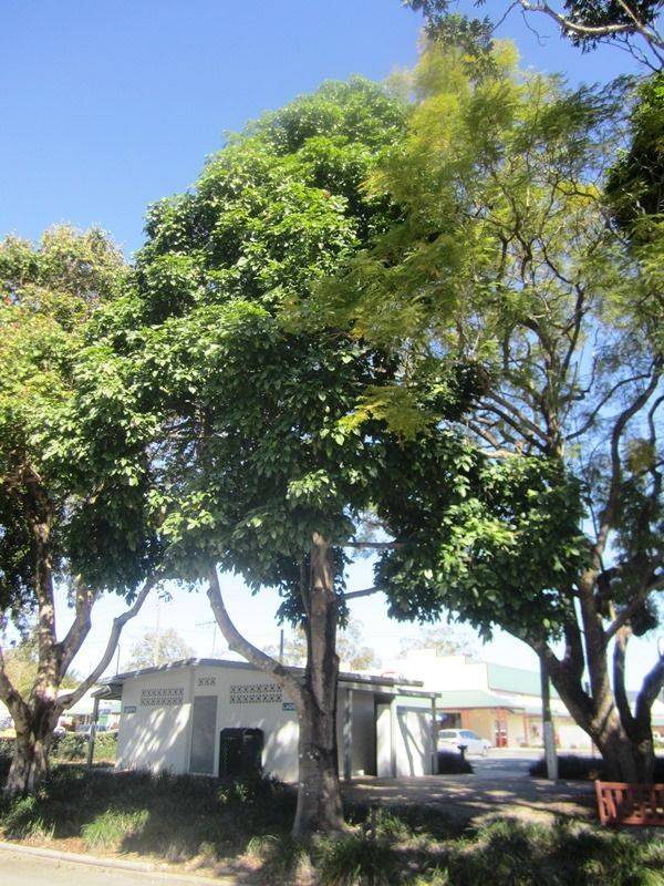 14-August-2013 14-August-2013