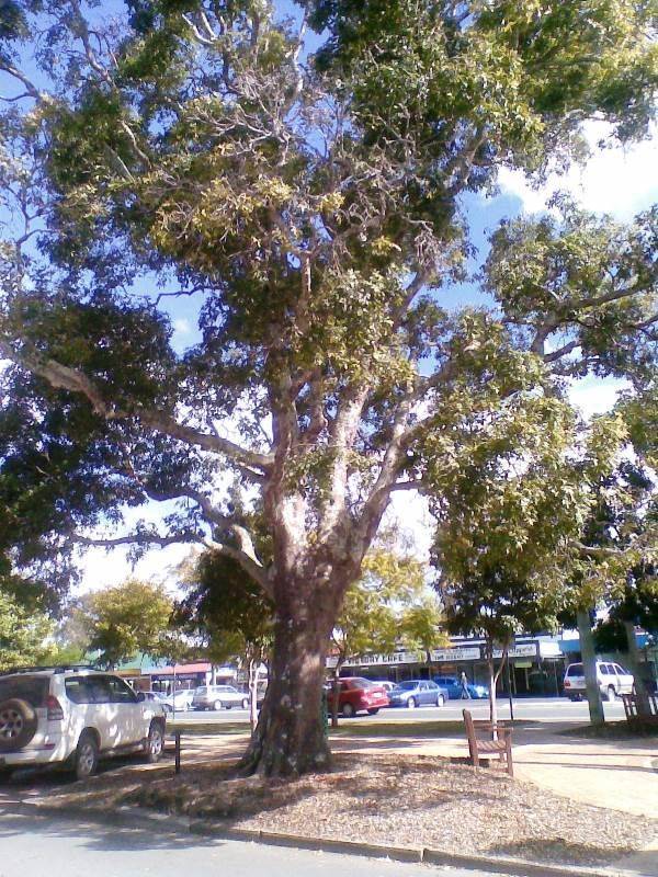 14-August-2013 14-August-2013