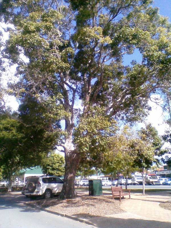 14-August-2013 14-August-2013