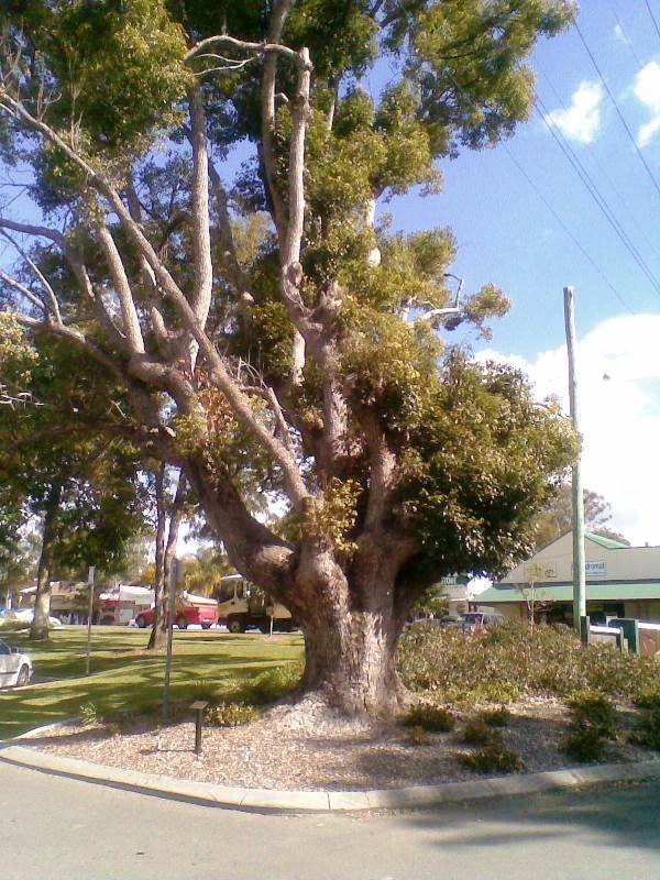 14-August-2013 14-August-2013