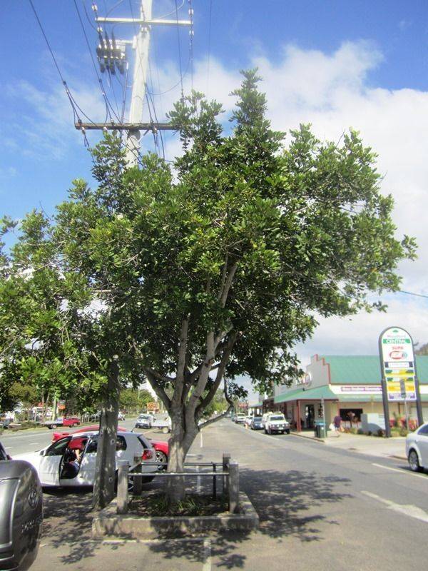 14-August-2013 14-August-2013