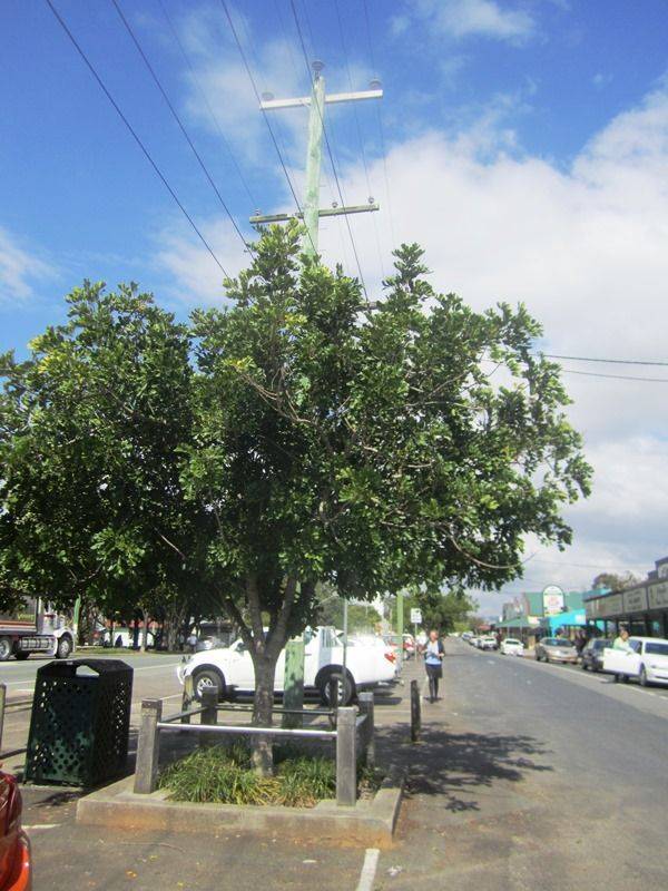 14-August-2013 14-August-2013