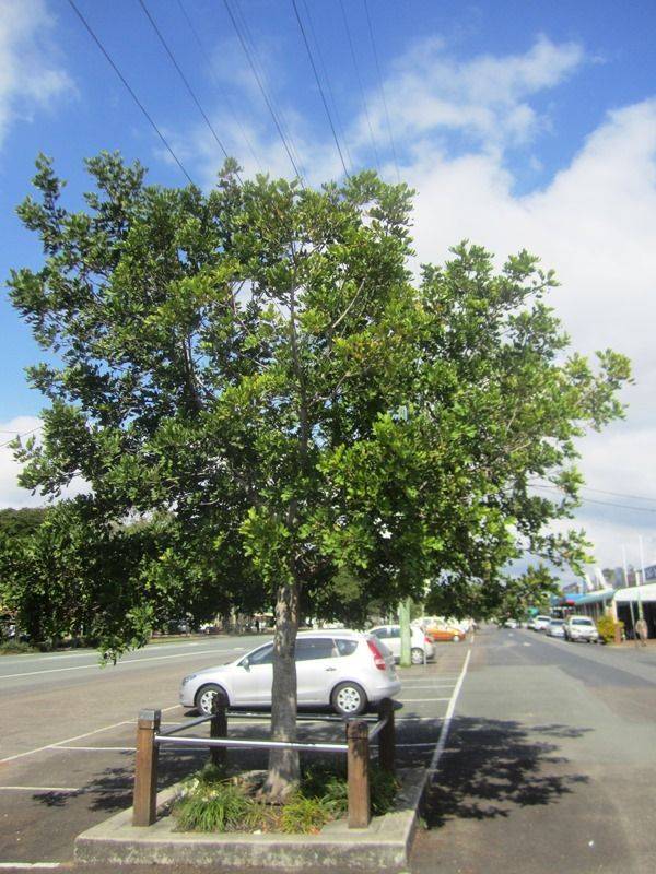 14-August-2013 14-August-2013