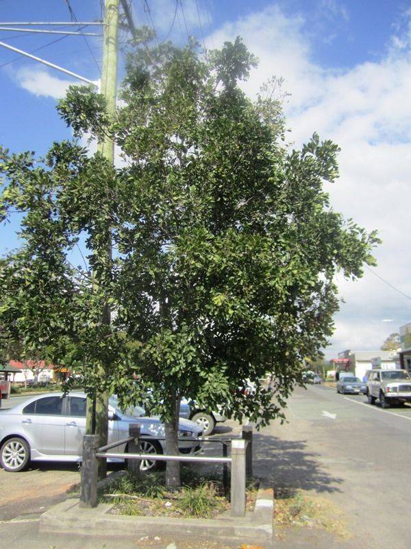 14-August-2013 14-August-2013