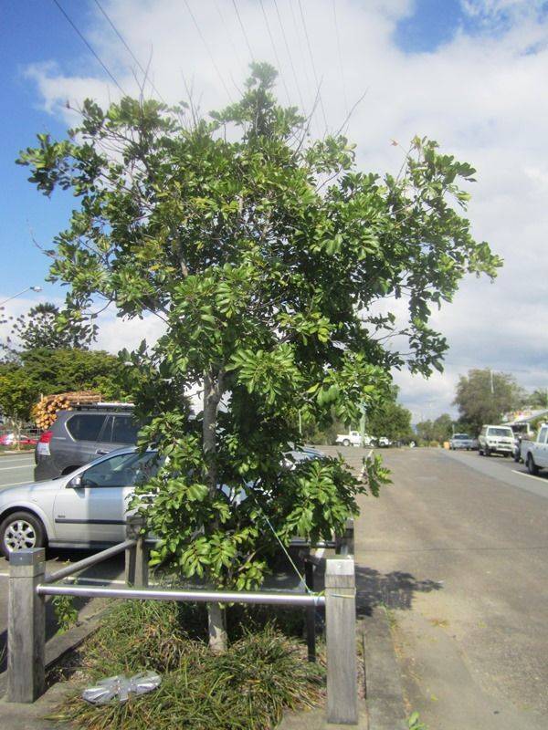 14-August-2013 14-August-2013