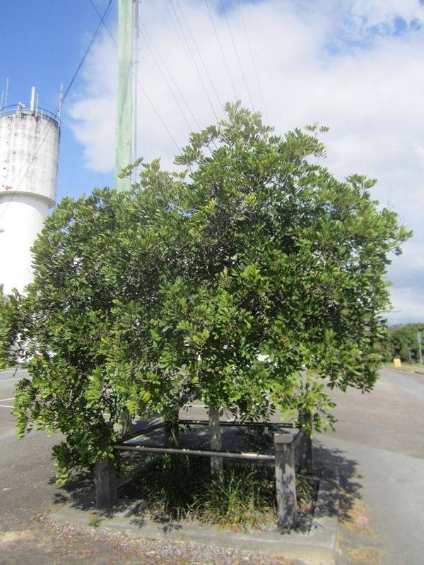 14-August-2013 14-August-2013