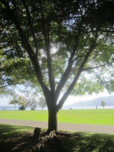 11-December-2013 11-December-2013