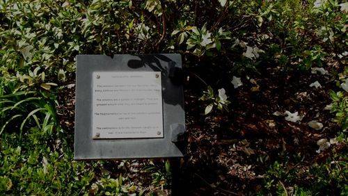Yungaburra Memorial Plaque : 06-07-2013 Yungaburra Memorial Plaque : 06-07-2013