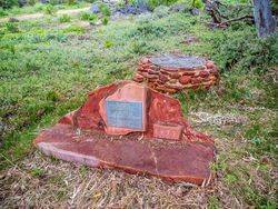 Plaque+Well : 17-August-2016