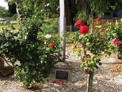 Memorial Gardens : 14-December-2014