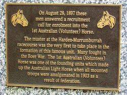 Light Horse Plaque : 30-June-2015