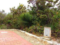 Memorial 2 : 10-January-2015