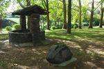 Wishing Well -Nielsen Park : July 2014
