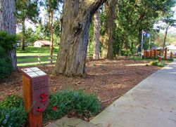 05-May-2023 (Sandra Brown)