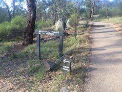 Trail: 12-January-2016