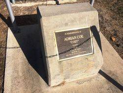 Inscription: 13-May-2016