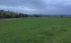 21-August-2018 : Old airstrip