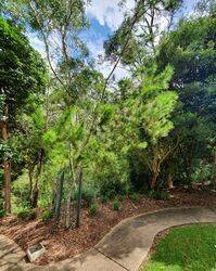 21-January-2022 (Peter Muller)