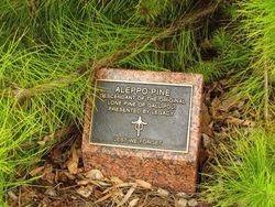 Plaque Inscription : 10-December-2014