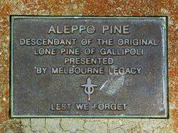 Inscription: 05-May-2016