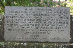 Cunningham Inscription: 10-November-2014
