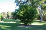 Prisoner of Conscience Tree : 19-Feb-2014