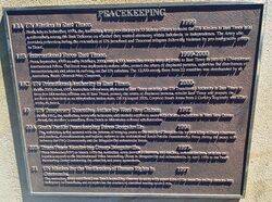 Peacekeeping : 08-June-2022 (Fiona Morrison)