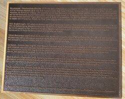 World War I : 08-June-2022 (Fiona Morrison)