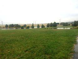 View to Border: 03-February-2010