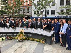 02-August-2019 (Tom Galluzzo)