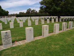 Cemetery 2 :28-November-2015