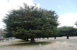 12-February-2016 12-February-2016