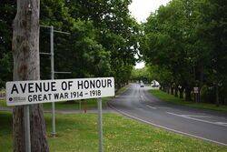 27-October-2020 (Lynn Skillern)