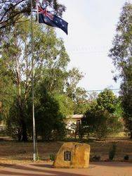 17-November-2019 [Sandra Brown] 