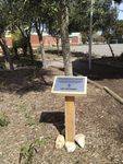 Bannockburn Primary Remembrance Garden : 27-09-2013