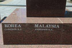 04-November-2020 (Peter Williams)