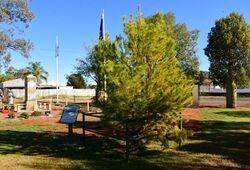 03-July-2021 (Henry Moulds)