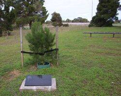 08-July-2022 (Bryan Cole)