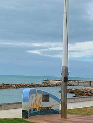 20-February-2022 (Fiona Morrison)