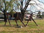 Bendigo Womens Memorial : 2007