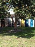 Bicentenary Tree : June 2014