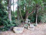 Bicentennial Fern Garden : 14-April-2013