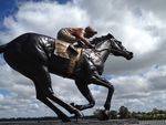 Black Caviar 3 : October 2013