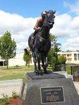 Black Caviar 7 : October 2013