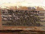 Black Stump